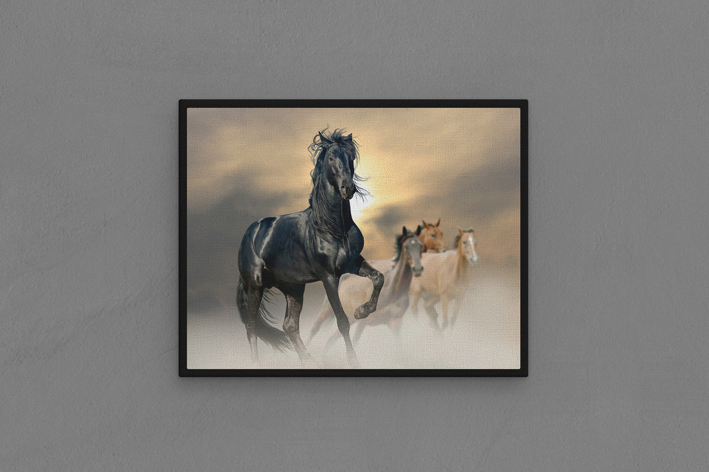 Canvas Frame with "Horse - Black Stallion" Image