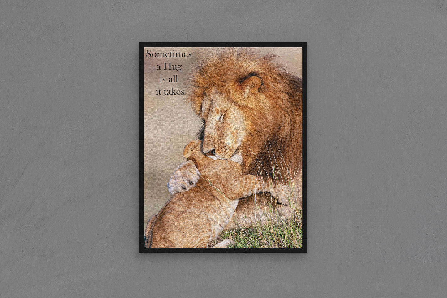 Canvas Frame with "Lions - Sometimes a Hug is all it takes" Image