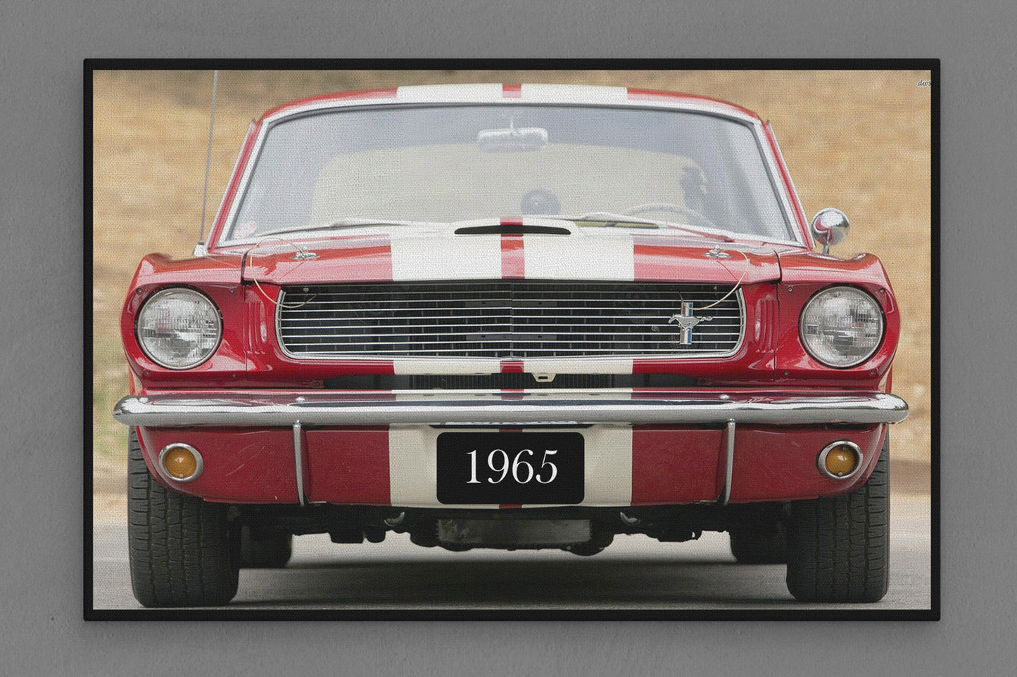 Canvas Frame with "Mustang - Front View" Image