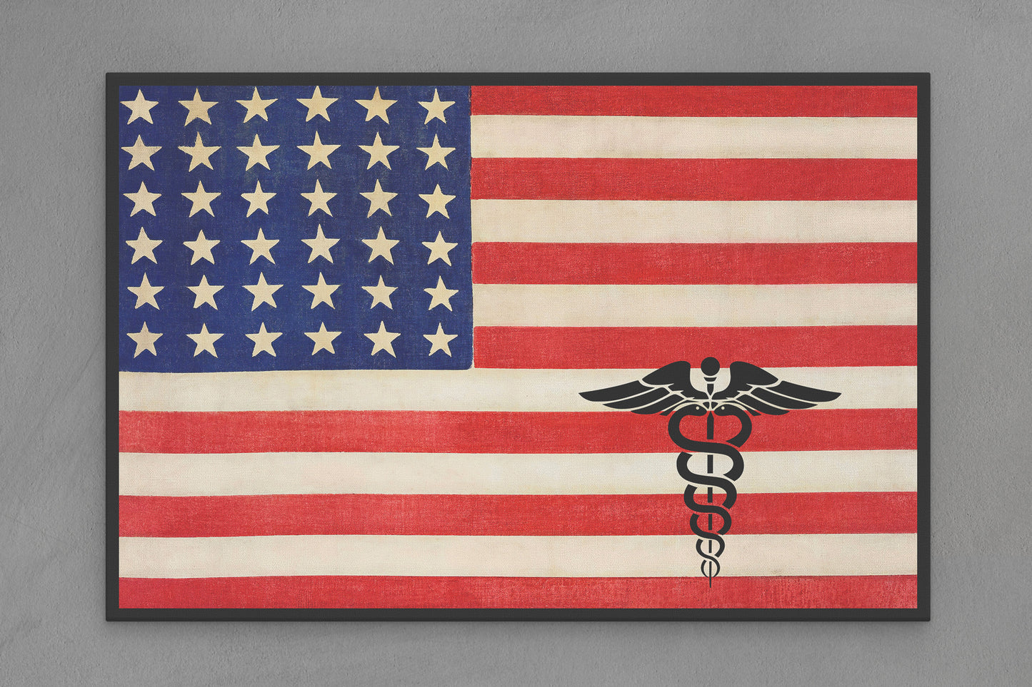United States Canvas Flag with Doctor and Nurse "Seal" Image