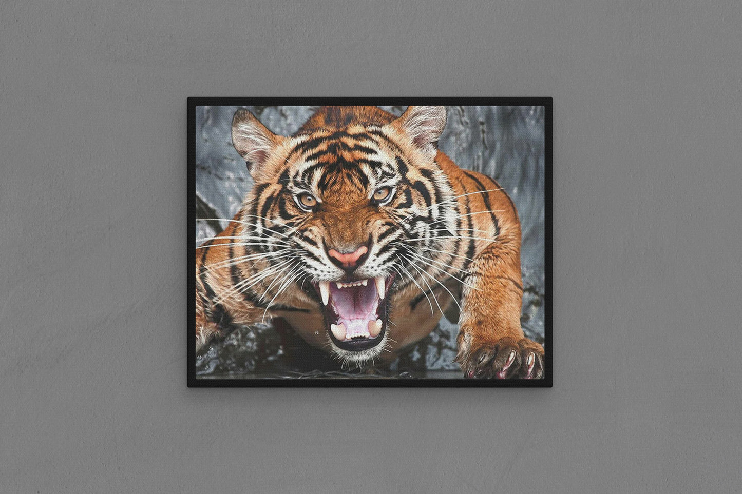 Canvas Frame with "Tiger - Growling Showing Teeth" Image