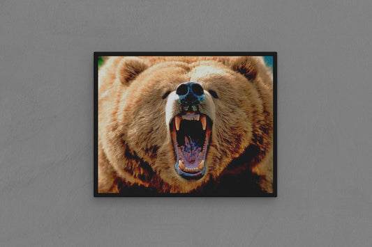 Canvas Frame with "Bear - Growling showing Teeth" Image