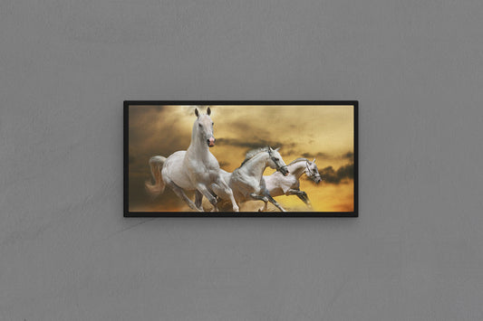 Canvas Frame with "Horses - White Horses Running" Image