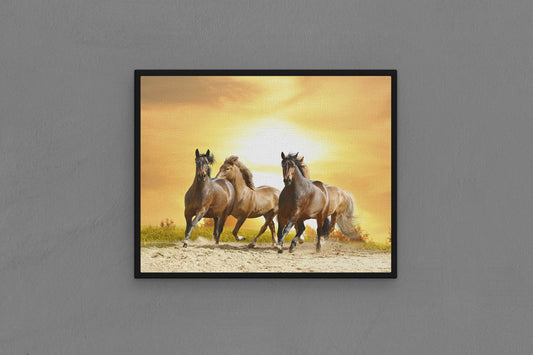 Canvas Frame with "Horses - Running in the Sun 02" Image