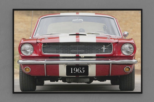 Canvas Frame with "Mustang - Front View" Image